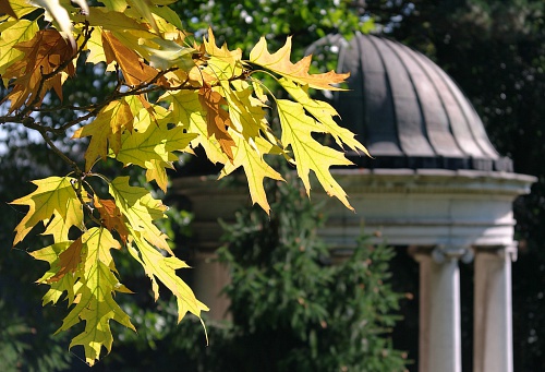 NX экосистема, оптика, 2.2 BHNIV.jpg