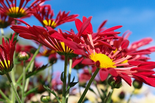 NX экосистема, оптика, 2.2 xk3MGPa.jpg