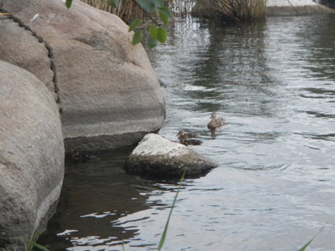 Piccy.info - Free Image Hosting