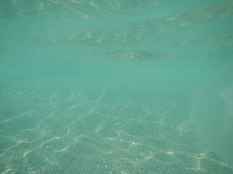 Piccy.info - Free Image Hosting