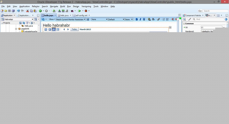 Oracle ADF (Application Development Framework)