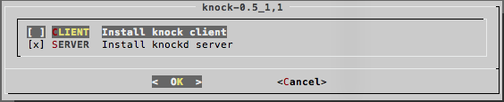 Port knocking или как обезопасить себя от брута по ssh