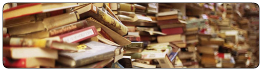 SWD.Starter: Быстрый старт автоматизации тестирования UI на C# + Selenium WebDriver + PageObjects Heap of books