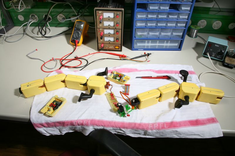 Salamandra Robotica II — робот амфибия, который плавает в воде и ползает по земле