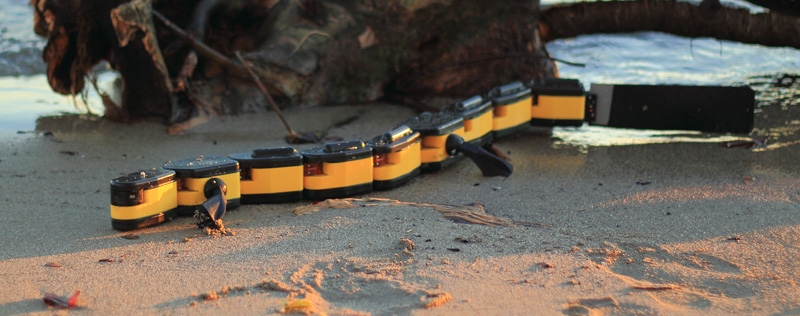 Salamandra Robotica II — робот амфибия, который плавает в воде и ползает по земле