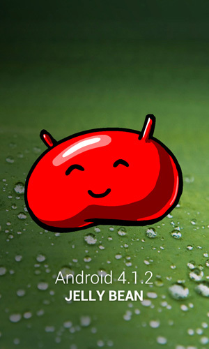 Samsung Galaxy Win Duos: что есть смартфон среднего класса от лидера рынка?