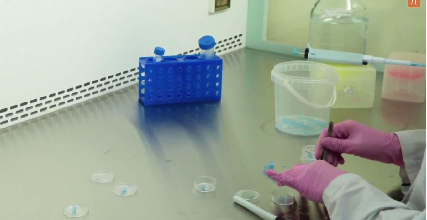 ScienceHub #05: Биофизика возбудимых систем ScienceHub #05: Биофизика возбудимых систем