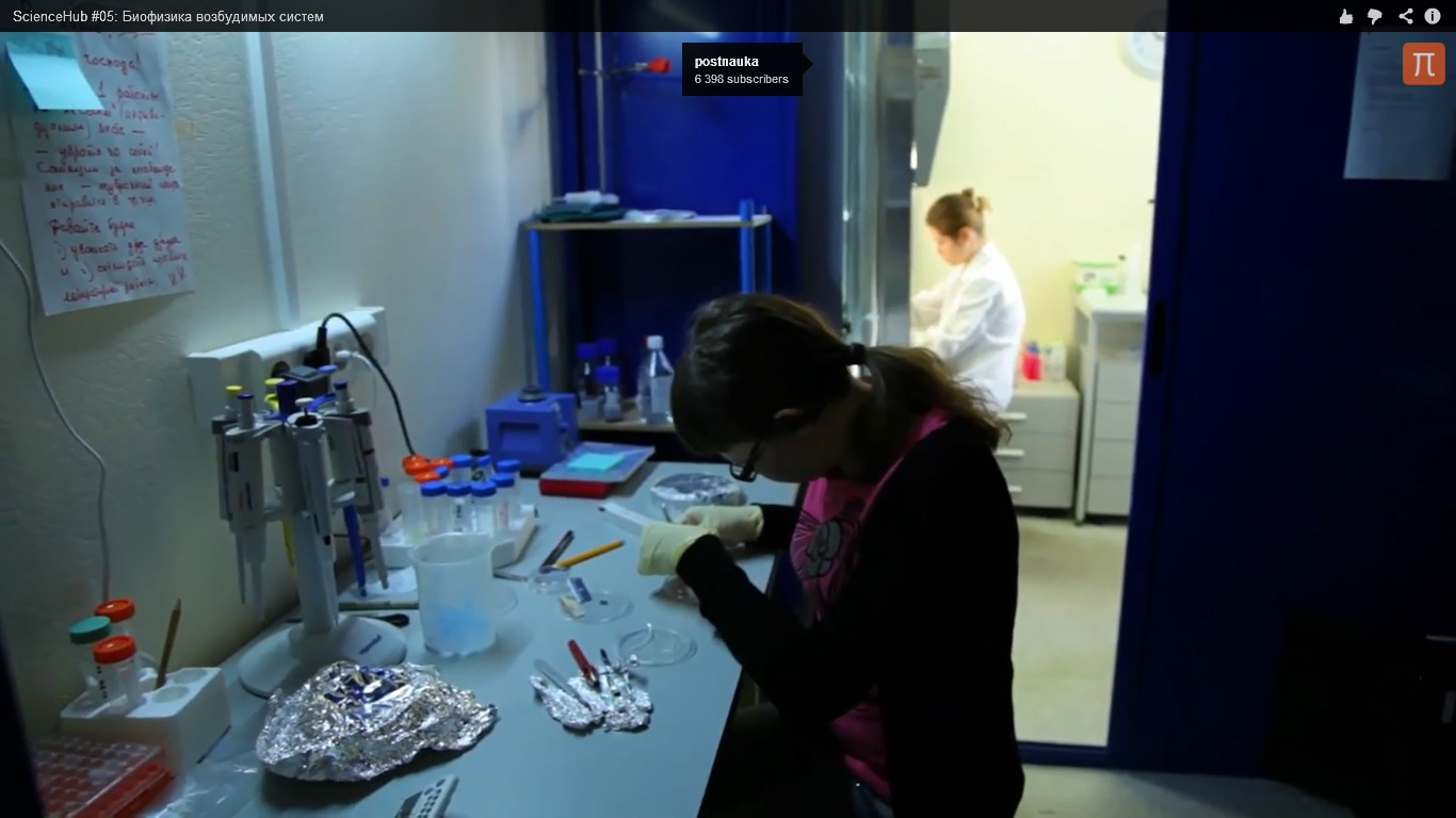 ScienceHub #05: Биофизика возбудимых систем ScienceHub #05: Биофизика возбудимых систем