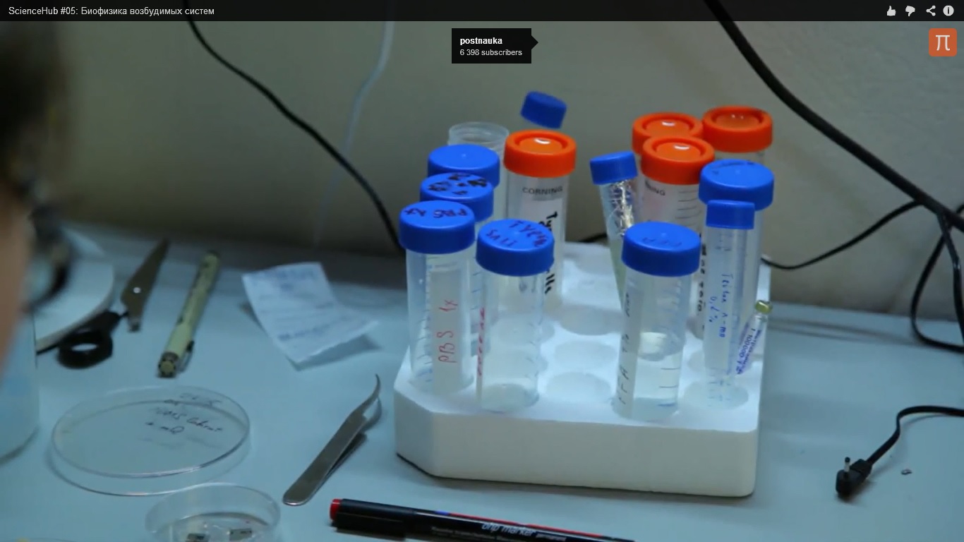 ScienceHub #05: Биофизика возбудимых систем ScienceHub #05: Биофизика возбудимых систем