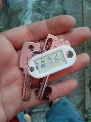 THL W3 — Догнать и перегнать бренды!