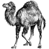 There’s More Than One Way To Do It