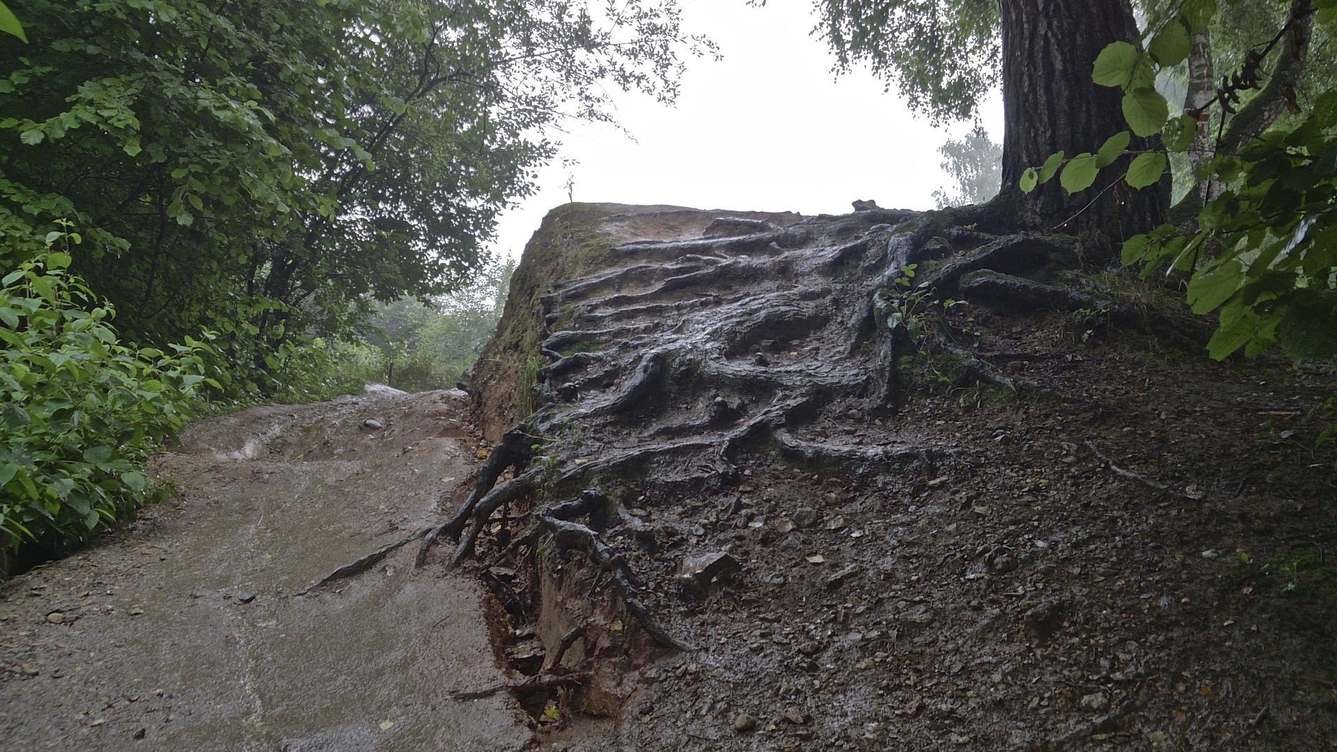 Tough Guy — Обзор защищенного смартфона Sony Xperia ZR