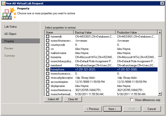 Query property. SUREBACKUP Virtual Lab. SUREBACKUP. SUREBACKUP Virtual Lab masquarading scheme.