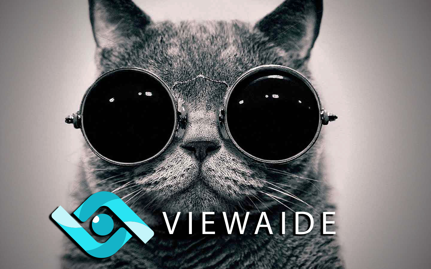 Viewaide: теперь и web сервис Viewaide: теперь и web сервис