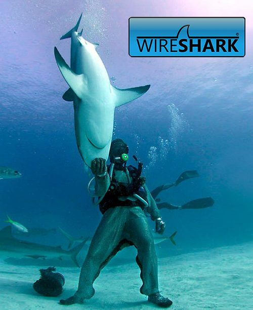 Wireshark — приручение акулы