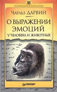 Антистартап про книги Азбукер