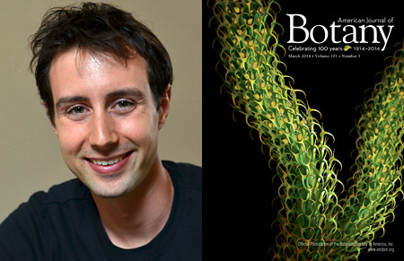 Аспирант из Беркли восстановил внешний вид растения, жившего 375 миллионов лет назад Аспирант из Беркли восстановил внешний вид растения, жившего 375 миллионов лет назад