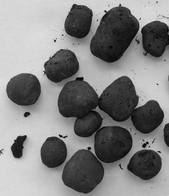 Автоматизированный расчет параметров частиц по фото Автоматизированный расчет параметров частиц по фото