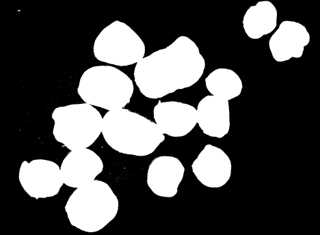 Автоматизированный расчет параметров частиц по фото Автоматизированный расчет параметров частиц по фото