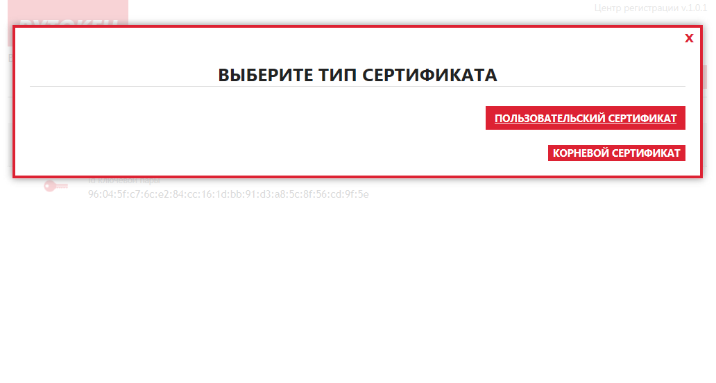 Авторизация на портале Госуслуг с помощью Рутокен ЭЦП