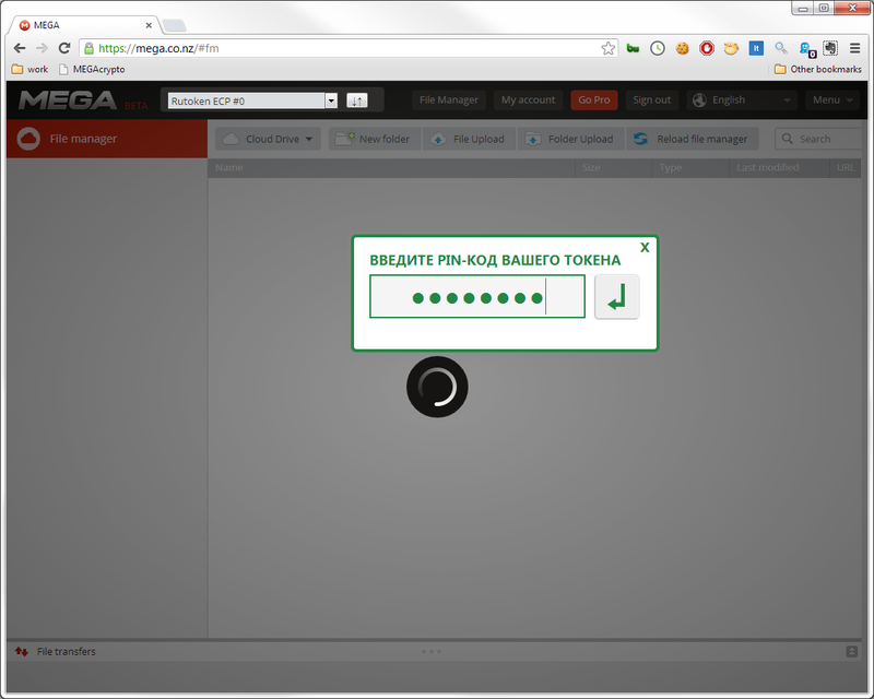 Берем под контроль криптографию в облачном хранилище MEGA