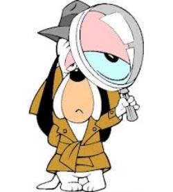 Бесценный опыт — опыт, за который никто не заплатит