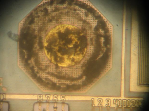 Биопринтер своими руками image