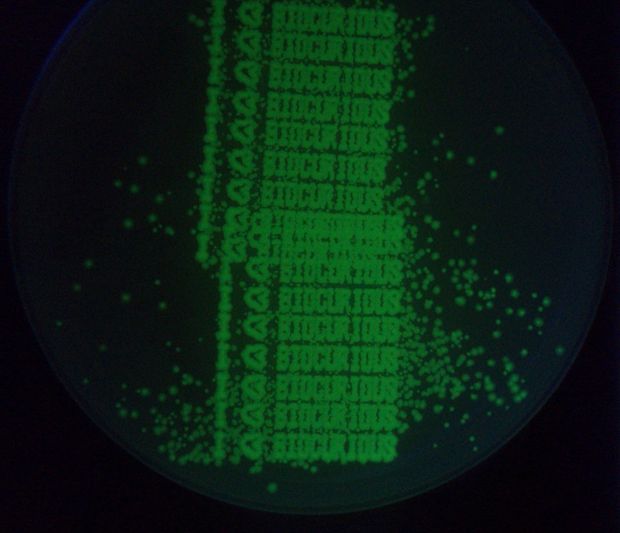 Биопринтер своими руками image