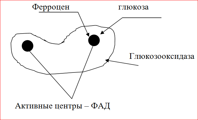 Биотопливные элементы своими руками