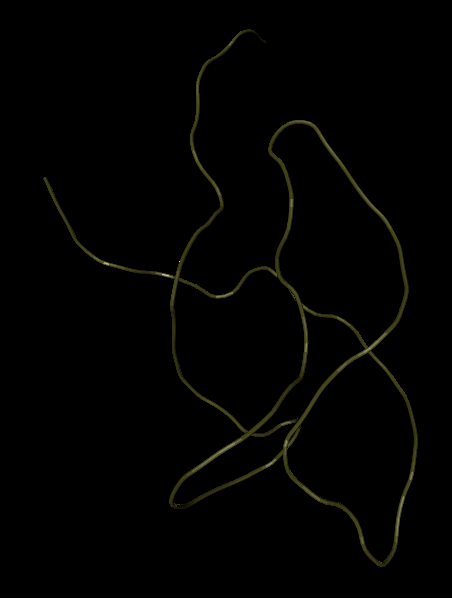 Биовычисления по сворачиванию. Снова простым языком о полученной модели сворачивания Биовычисления по сворачиванию. Снова простым языком о полученной модели сворачивания