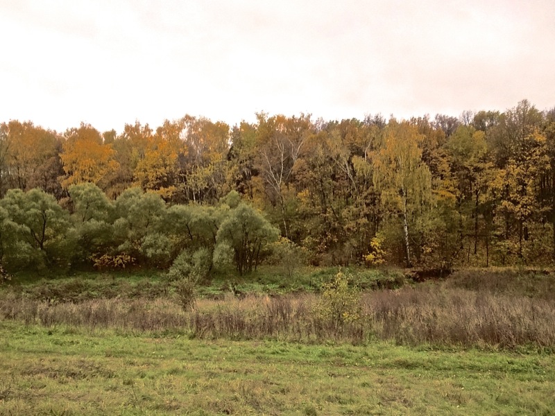 Больше всех — обзор Sony Xperia Z Ultra