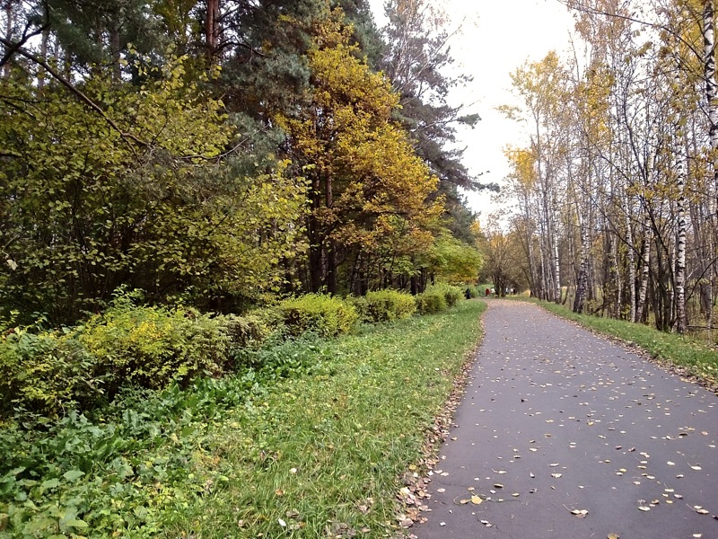 Больше всех — обзор Sony Xperia Z Ultra