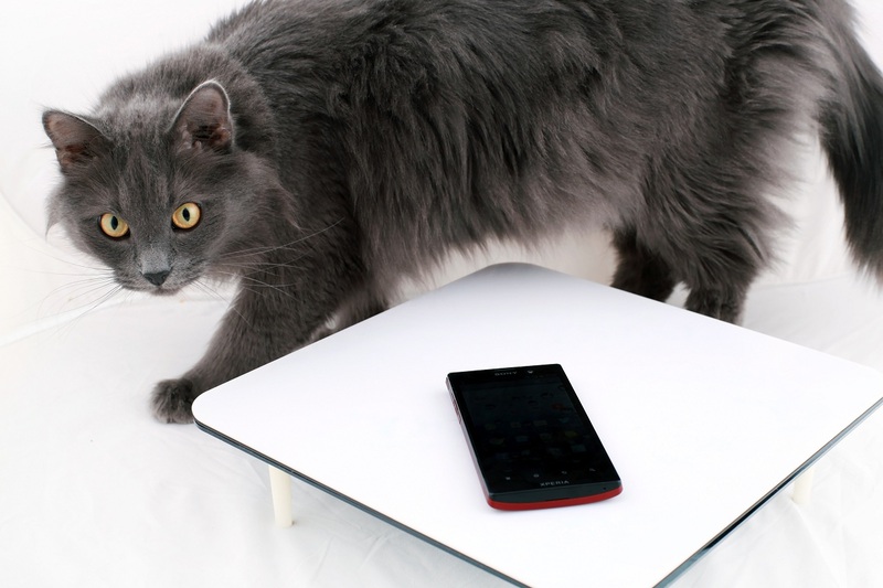 Большой: обзор Sony Xperia ion Большой: обзор Sony Xperia ion