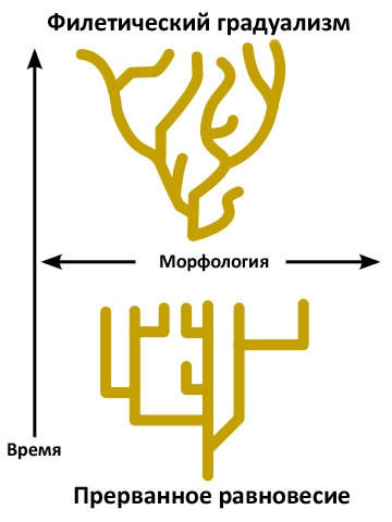 Будущее интеллекта Будущее интеллекта