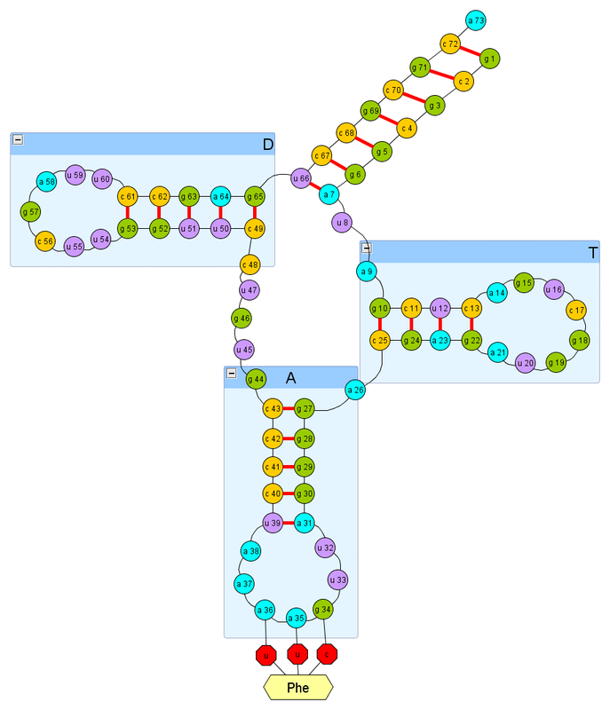 Часть №7. RNAInSpace — программное обеспечение для полуавтоматического конструирования РНК в пространстве