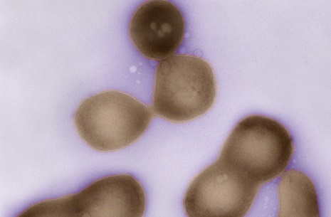 Через тернии к звездам. К императивам космического колониализма Через тернии к звездам. К императивам космического колониализма