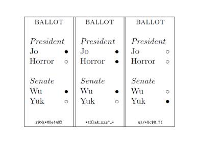 Честные выборы. Слово криптографам Честные выборы. Слово криптографам