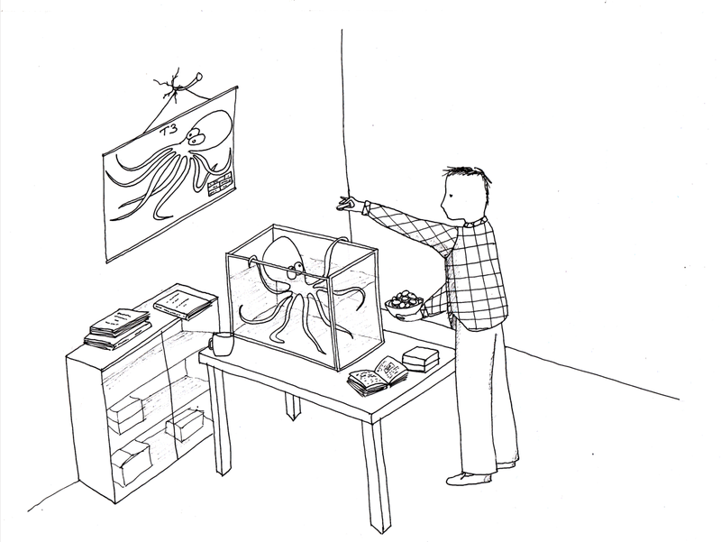 Что плохого в работе на результат Что плохого в работе на результат