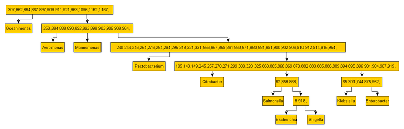 Дарвиновская эволюция бактерий — полная картина Дарвиновская эволюция бактерий — полная картина