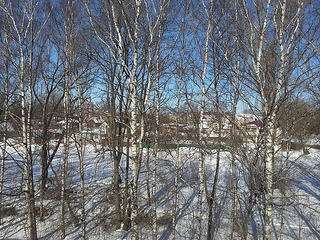 Детство цифровой фотографии — Kodak DC50 20130311_122739_tn