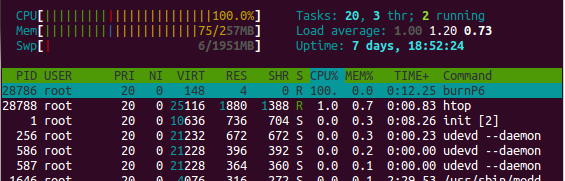 cpu_cap_htop