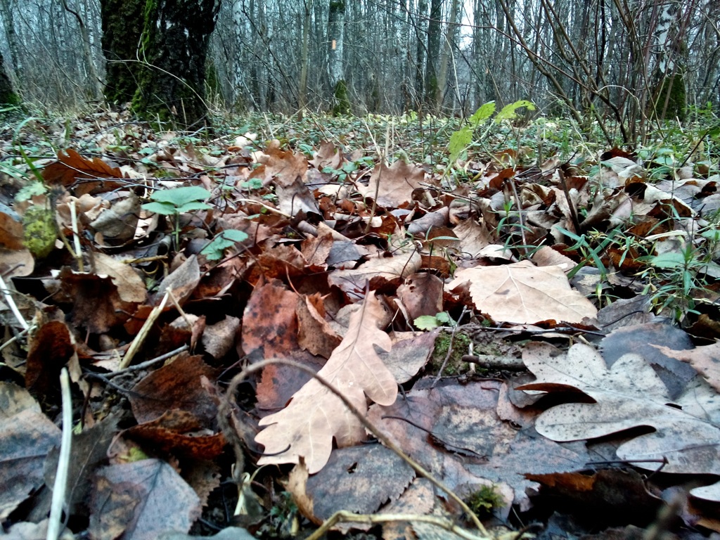 Две симки, четыре ядра – обзор Sony Xperia C Две симки, четыре ядра – обзор Sony Xperia C