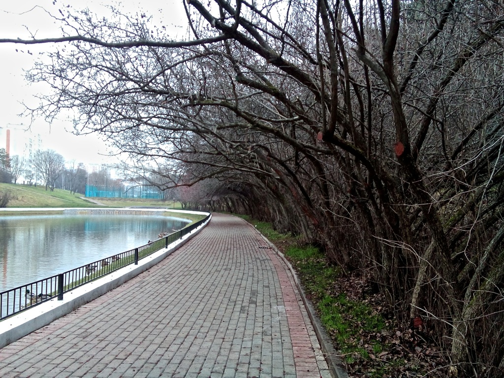 Две симки, четыре ядра – обзор Sony Xperia C Две симки, четыре ядра – обзор Sony Xperia C