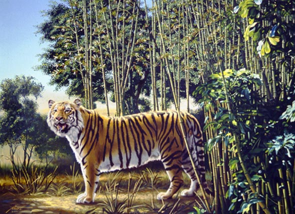 The Hidden Tiger Дырка в кармане — Памятка по мобильной безопасности