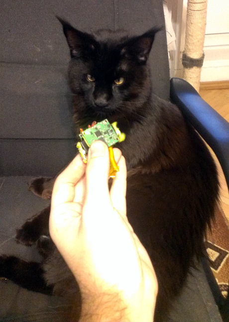 Электроника и котики: собираем робота игрушку для кота на STM32