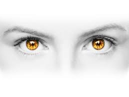 Электронная коммерция в 16, или никогда не рано! Электронная коммерция в 16, или никогда не рано!