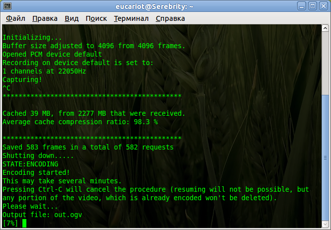 Linux ubuntu терминал. Команда find linux. Команда для создания файла в linux. Консоль linux ubuntu. Ubuntu команды терминала.