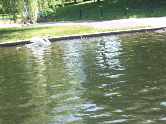 Фотографии с карты памяти, пережившей две зимы на улице Фотографии с карты памяти, пережившей две зимы на улице