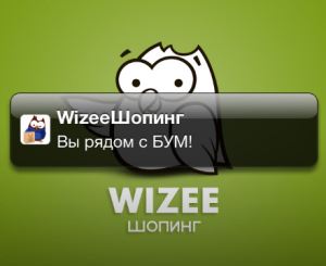 Гид по торговым центрам Wizee: 200 тыс. загрузок, 100 тыс. пользователей и 140 торговых центров