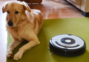 Год с Roomba